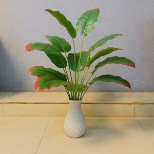 Long Green Leaf Plant (2 Feet Approx)
