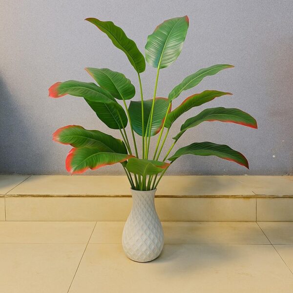 Long Green Leaf Plant (2 Feet Approx)
