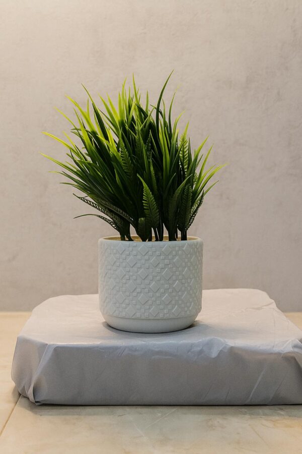 Green Attractive Table Plants (Cd3) (9inch Approx)