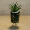 Black Golden Texture Table Plants With Stand (Cd 6) (9inch)