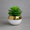 Cute Ceramic Succulent Pots (Cd 12) (7inch Approx)