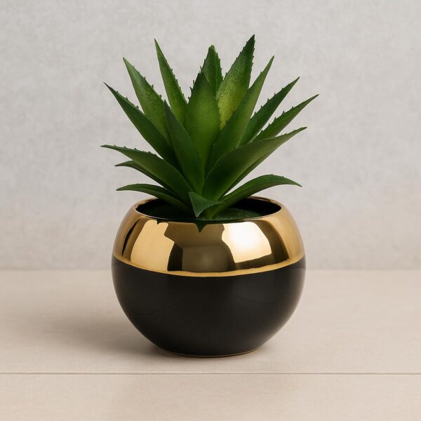 Golden Border Ceramic Table Plants (Cd 6) (7inch Approx)