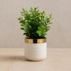 Green Table Plants With Plastic and Steel Border Pot (Cd2) (9inch Approx)