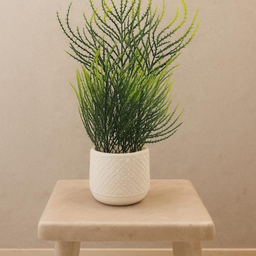 WhatsAppImage2025-06-18at6.49.51PM_1