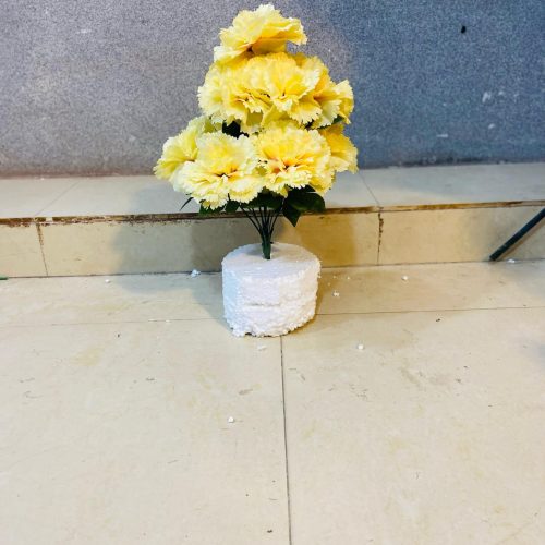 WhatsAppImage2025-06-19at5.33.17PM