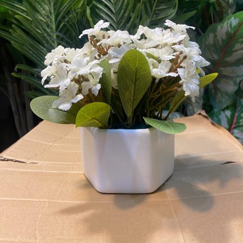 WhatsAppImage2025-06-21at9.31.06AM_1